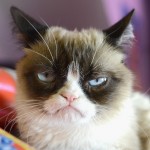 Grumpy-Cat-6-150x150.jpg