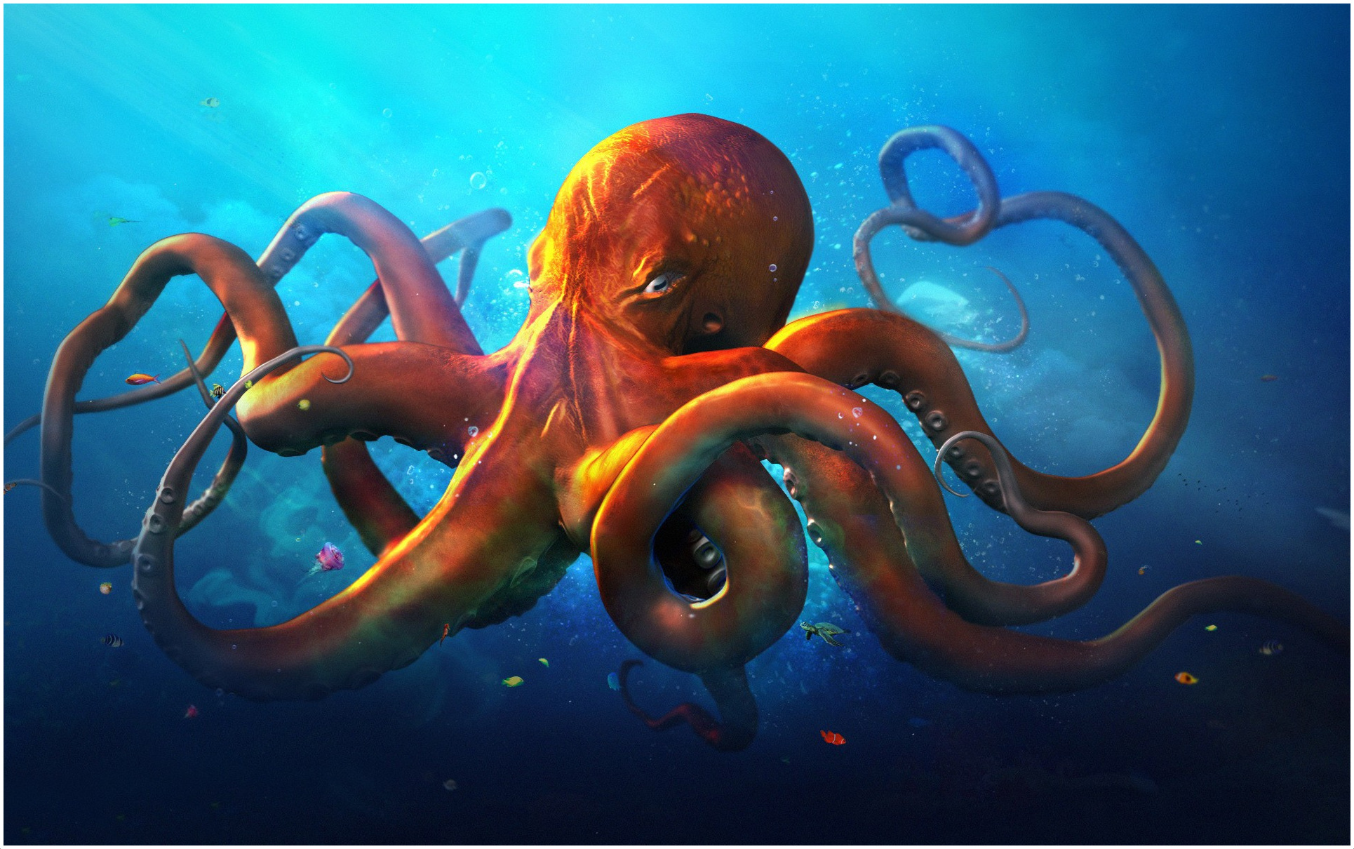 Octopus Habitat For Kids | Kids Matttroy