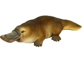 Platypus