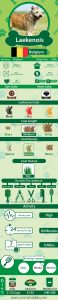 Laekenois (Belgian Shepherd Laekenois) – Facts, Pictures, Puppies, Temperament, Breeders, Price