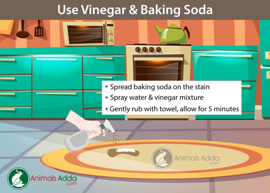 Homemade Cleaners To Remove Pet Stains and Odors