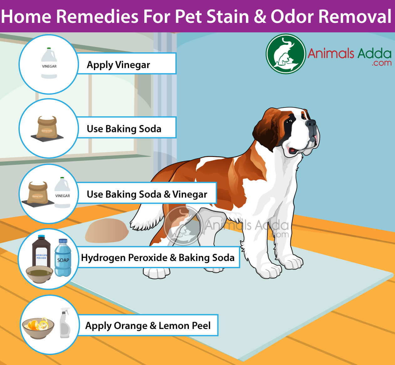 Home remedies clearance for dog odor