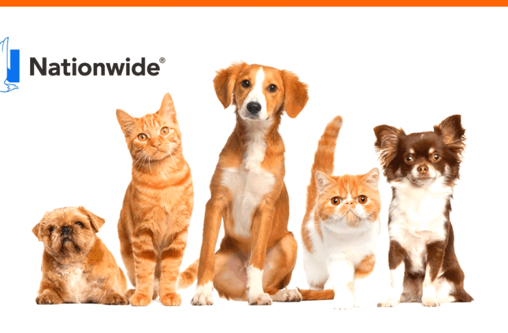 Nationwide Pet Insurance – How to Apply, Benefits, and More