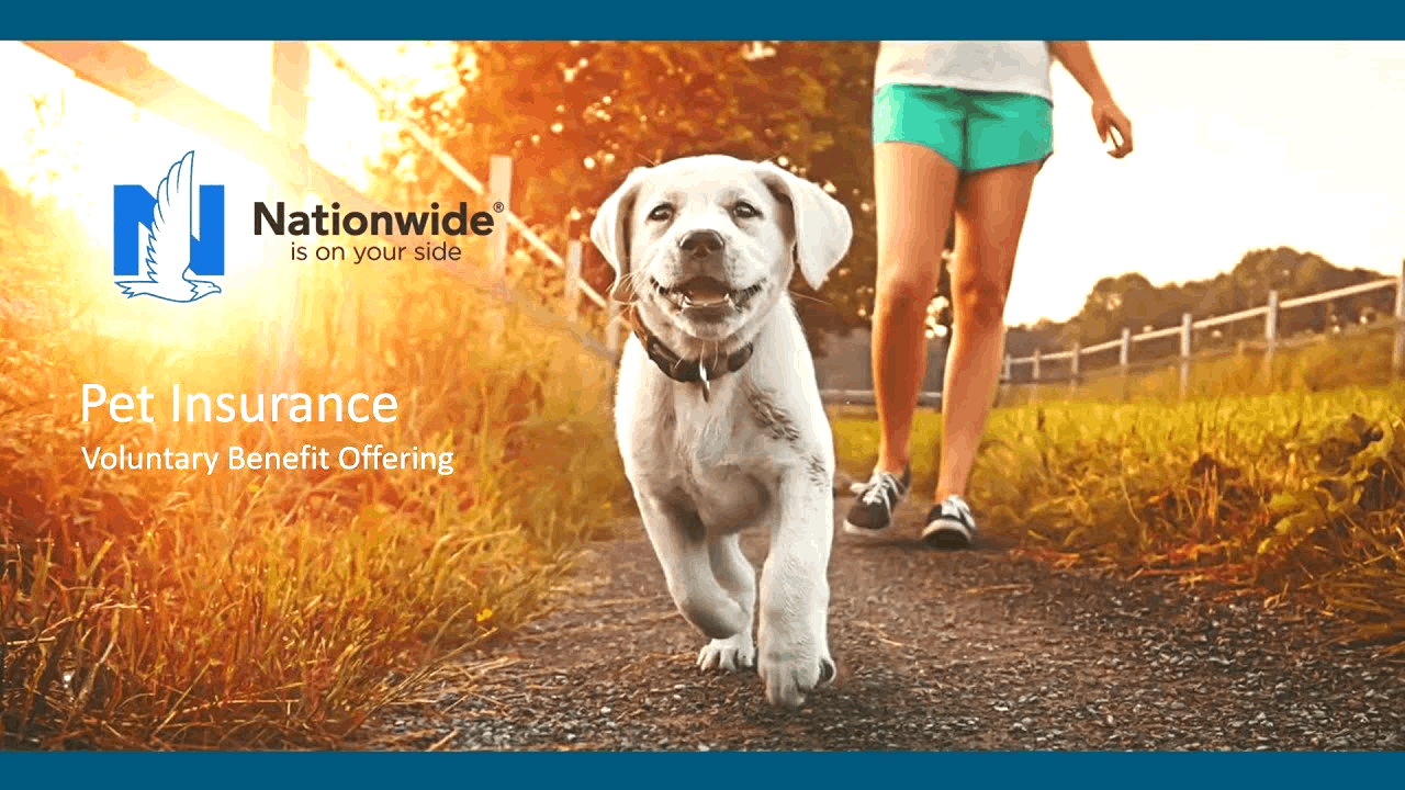 Nationwide Pet Insurance – How to Apply, Benefits, and More