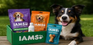 Discover How to Receive Free Iams Dog Care Kit Samples