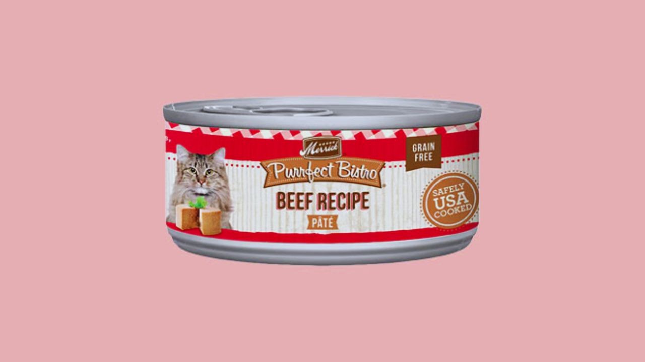 How to Get Free Merrick Purrfect Bistro Cat Food Samples – A Trustworthy Guide for Cat Parents