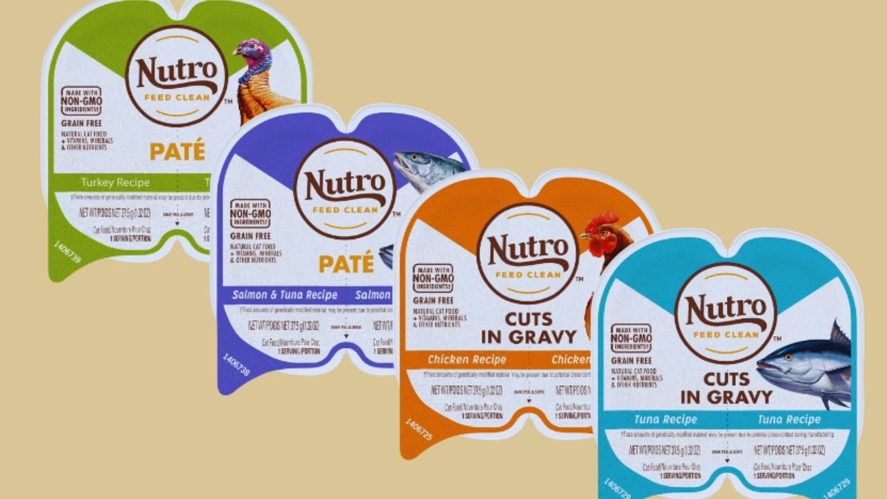 Claim Free Nutro Cat Food Samples: Save Money and Discover New Nutrition for Your Cat
