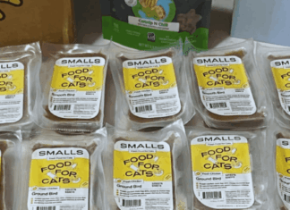 How to Claim Free Smalls Fresh Cat Food Samples: An Honest Guide for Pet Lovers