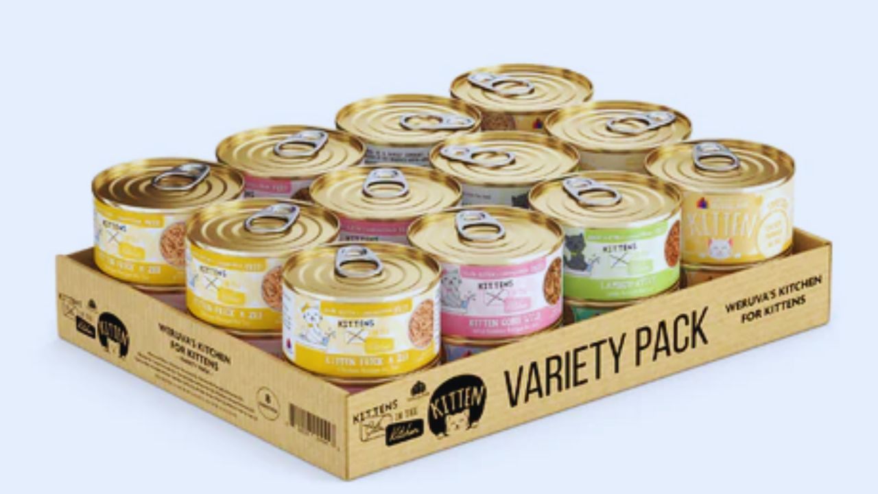 Unlock Free Weruva Cat Food Samples Online: A Practical Guide for Pet Owners