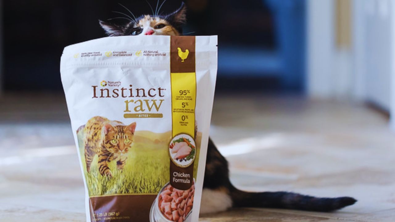 How to Access Free Instinct Raw Cat Food Samples: Smart Tips for Cat Owners