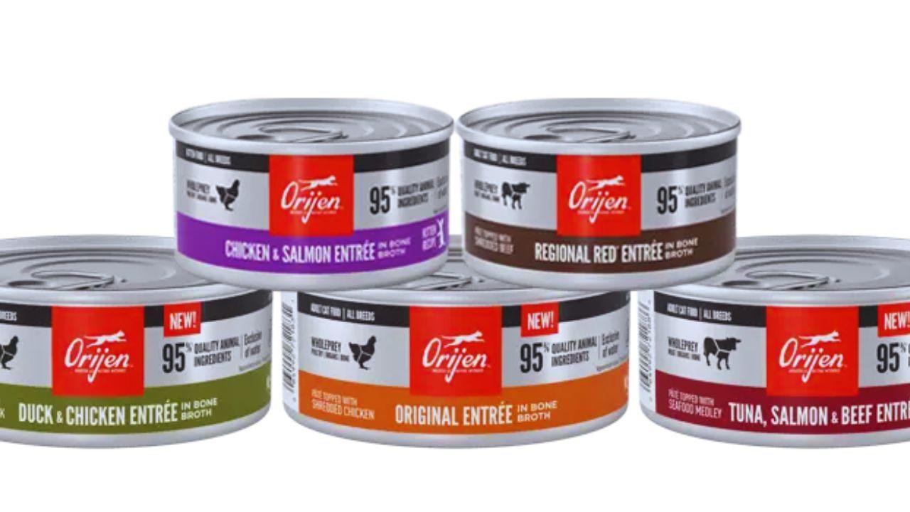 How to Request Free Orijen Cat Food Samples: A Practical Guide for Pet Owners