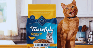 Unlock Free Blue Buffalo Cat Food Samples: A Practical Guide for Cat Owners