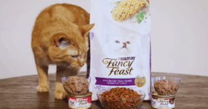 How to Get Free Fancy Feast Wet Cat Food Samples Online – A Pet Owner’s Guide to Saving