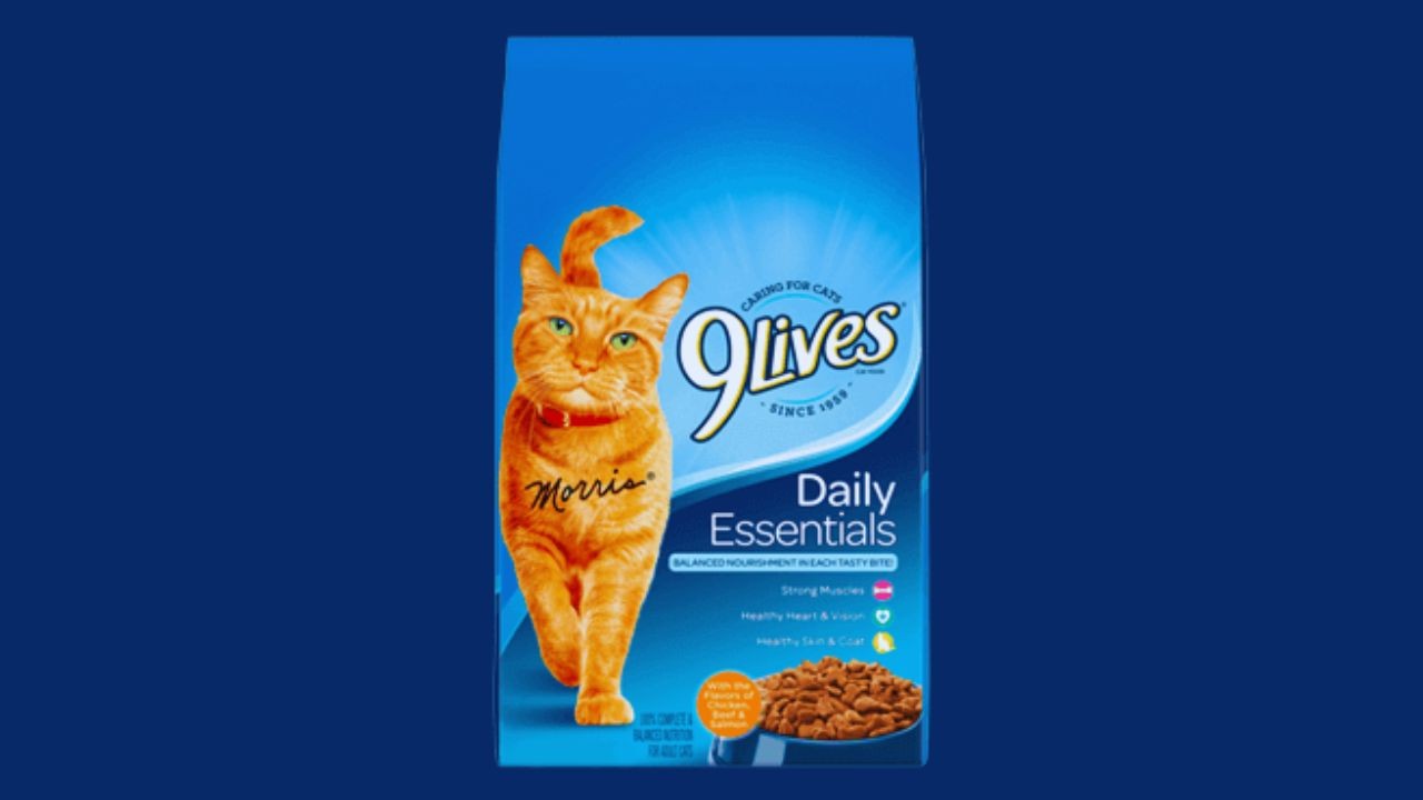 How to Request Free 9Lives Cat Food Samples Online – Simple Guide for Cat Owners