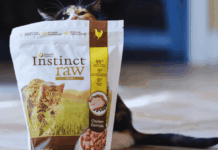 How to Access Free Instinct Raw Cat Food Samples: Smart Tips for Cat Owners