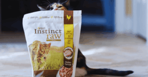 How to Access Free Instinct Raw Cat Food Samples: Smart Tips for Cat Owners