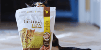 How to Access Free Instinct Raw Cat Food Samples: Smart Tips for Cat Owners