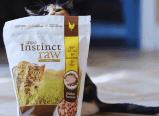 How to Access Free Instinct Raw Cat Food Samples: Smart Tips for Cat Owners