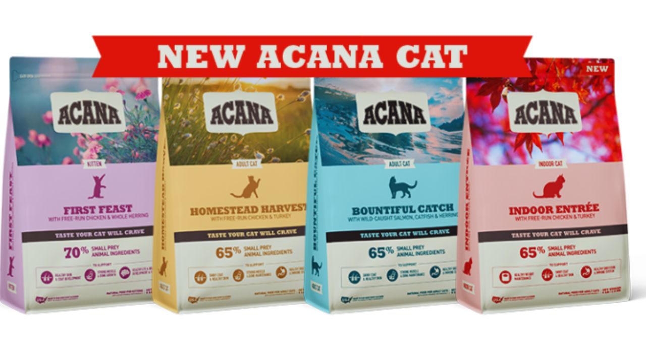 How Pet Owners Can Find Free Acana Cat Food Samples – A Guide to Trying Quality Nutrition Safely
