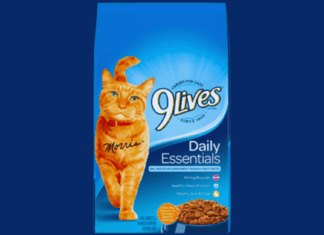 How to Request Free 9Lives Cat Food Samples Online – Simple Guide for Cat Owners