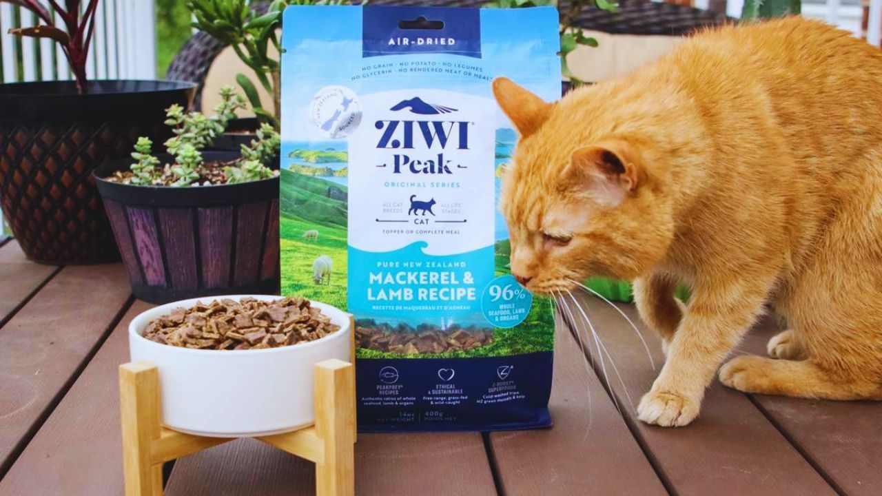 How Cat Owners Can Explore Free Ziwi Peak Air-Dried Cat Food Samples – What to Know First