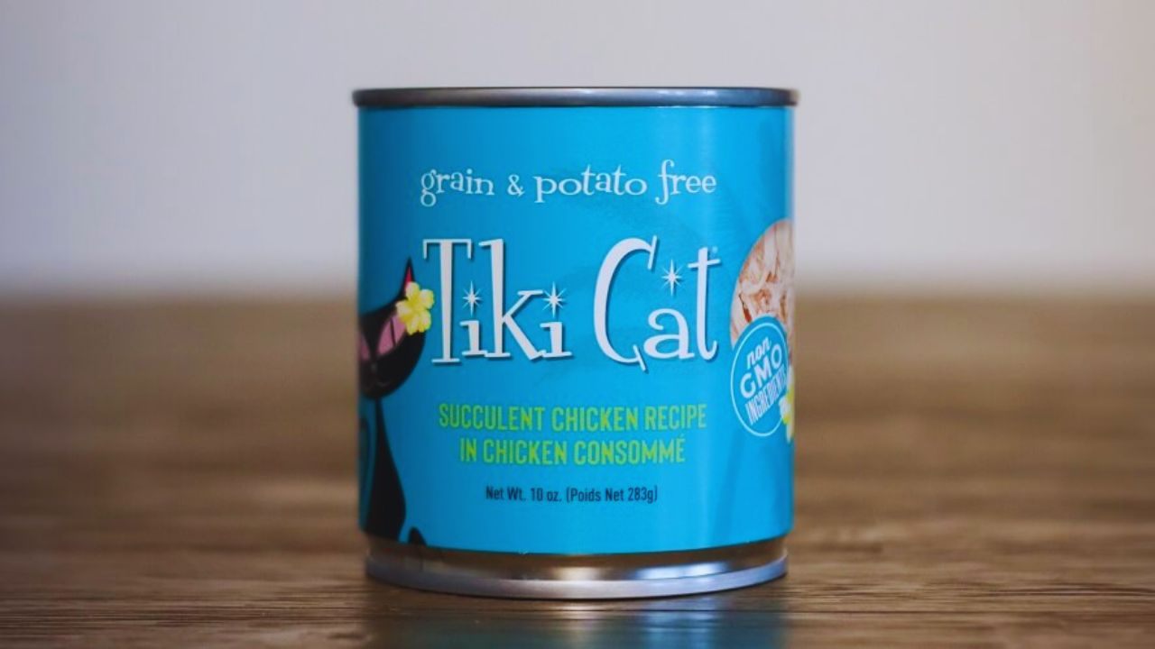 How to Get Free Tiki Cat Wet Food Samples: Try Premium Nutrition for Your Cat