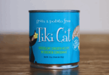 How to Get Free Tiki Cat Wet Food Samples: Try Premium Nutrition for Your Cat