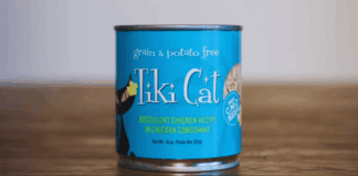 How to Get Free Tiki Cat Wet Food Samples: Try Premium Nutrition for Your Cat
