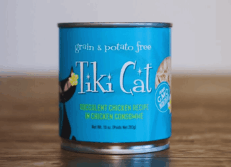 How to Get Free Tiki Cat Wet Food Samples: Try Premium Nutrition for Your Cat