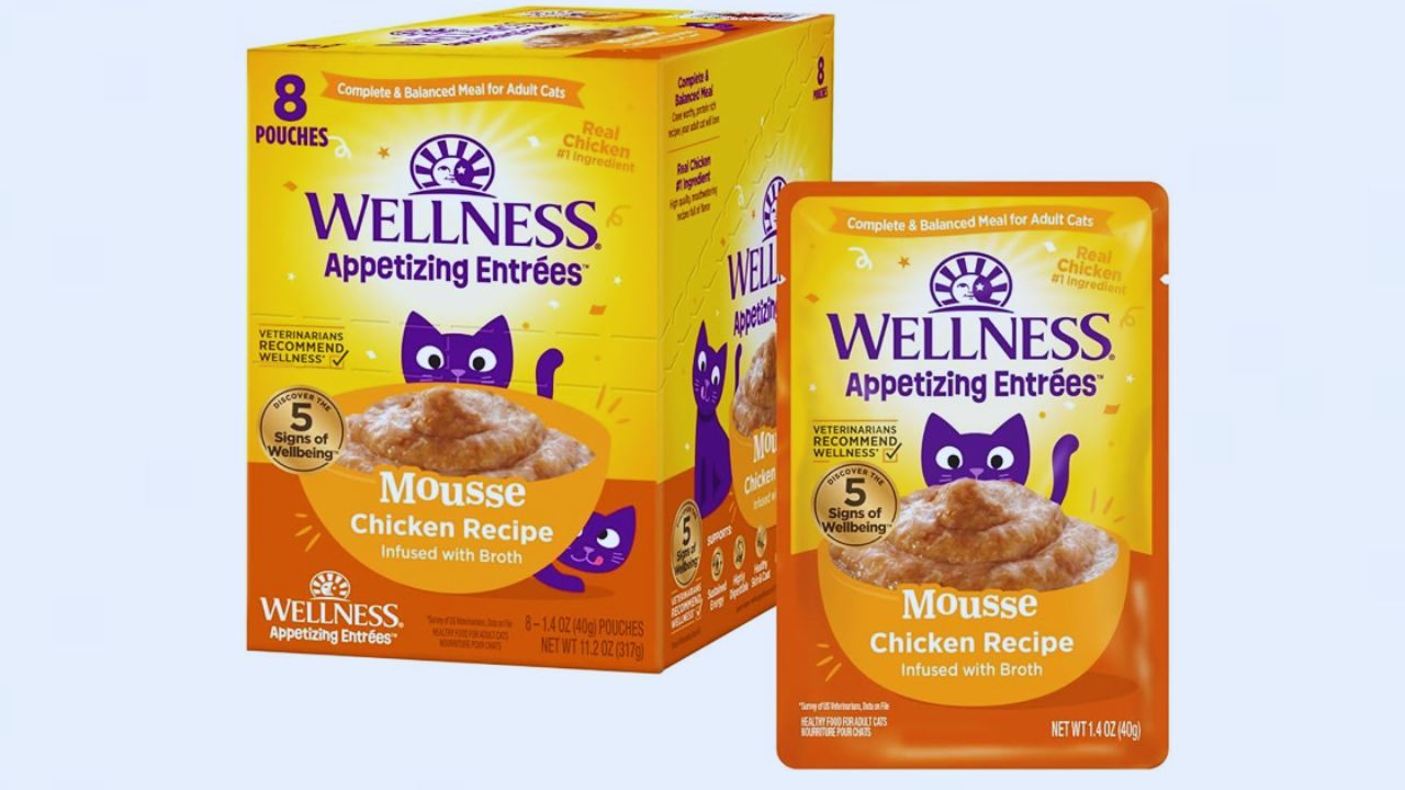 Unlock Free Wellness Natural Cat Food Samples – Simple Guide for Pet Owners