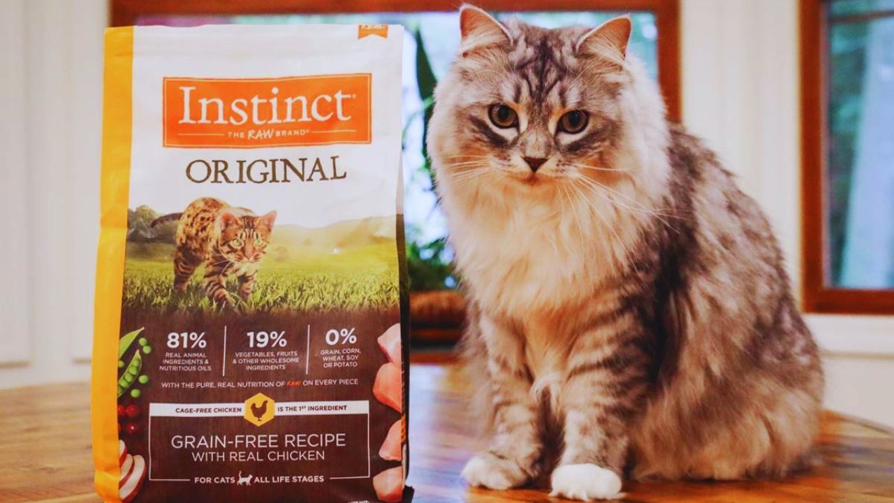 How to Access Free Instinct Raw Cat Food Samples: Smart Tips for Cat Owners
