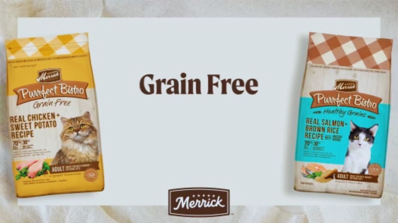 How to Get Free Merrick Purrfect Bistro Cat Food Samples – A Trustworthy Guide for Cat Parents