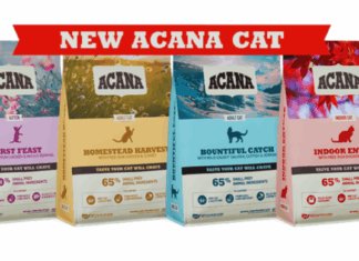 How Pet Owners Can Find Free Acana Cat Food Samples – A Guide to Trying Quality Nutrition Safely
