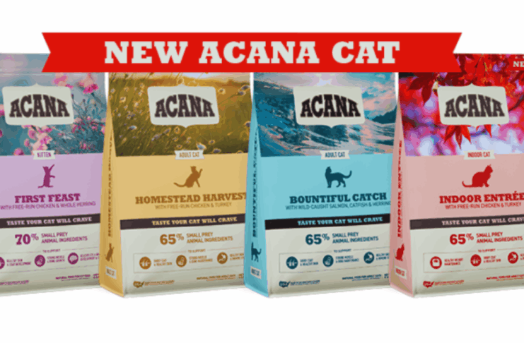 How Pet Owners Can Find Free Acana Cat Food Samples – A Guide to Trying Quality Nutrition Safely