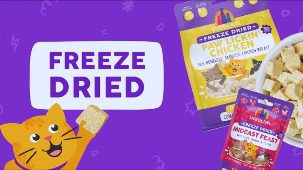 Unlock Free Weruva Cat Food Samples Online: A Practical Guide for Pet Owners