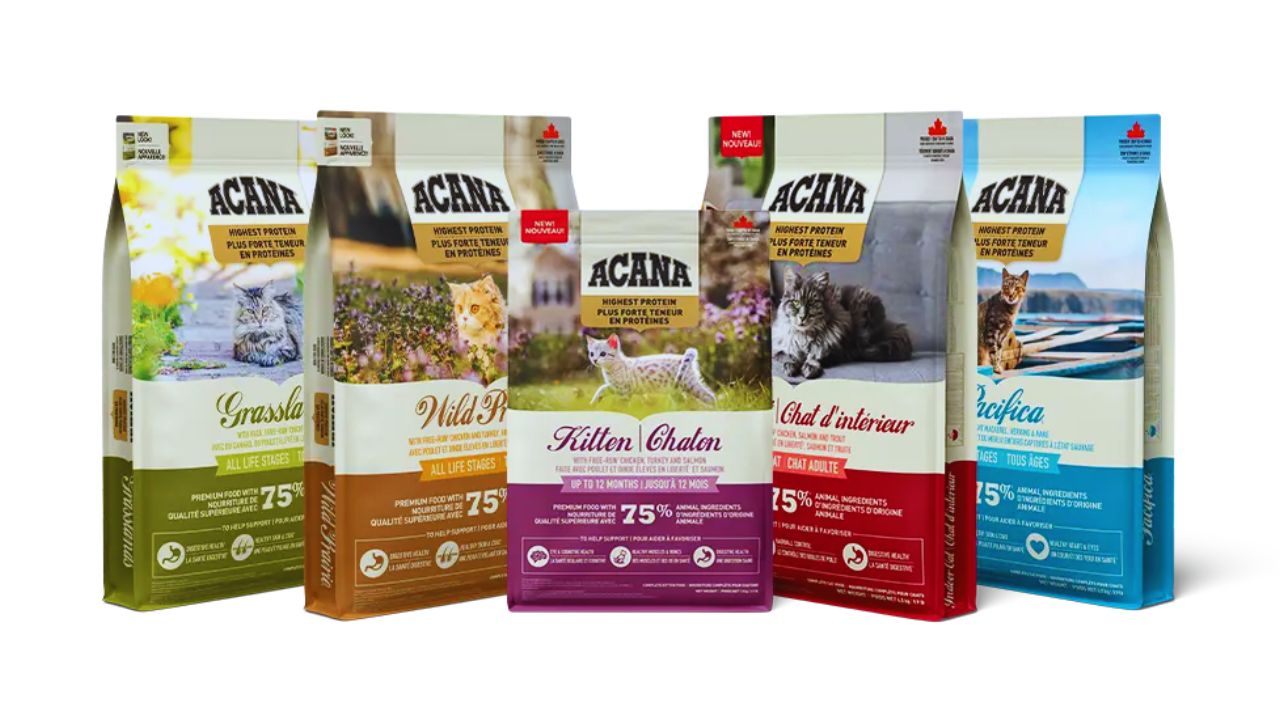 How Pet Owners Can Find Free Acana Cat Food Samples – A Guide to Trying Quality Nutrition Safely