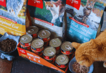 How to Request Free Orijen Cat Food Samples: A Practical Guide for Pet Owners