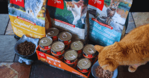 How to Request Free Orijen Cat Food Samples: A Practical Guide for Pet Owners