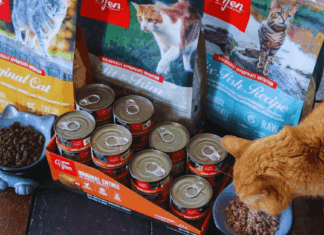 How to Request Free Orijen Cat Food Samples: A Practical Guide for Pet Owners