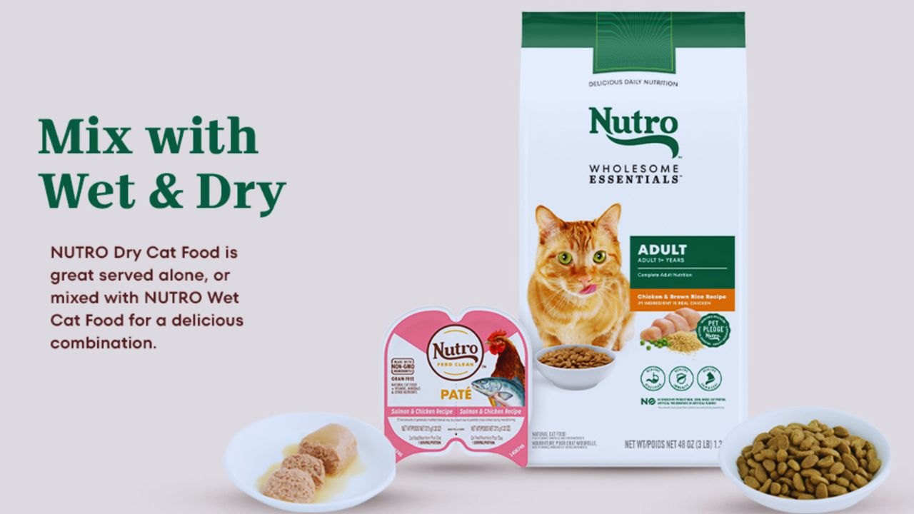 Claim Free Nutro Cat Food Samples: Save Money and Discover New Nutrition for Your Cat