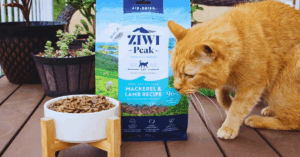 How Cat Owners Can Explore Free Ziwi Peak Air-Dried Cat Food Samples – What to Know First
