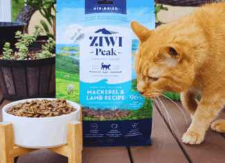 How Cat Owners Can Explore Free Ziwi Peak Air-Dried Cat Food Samples – What to Know First