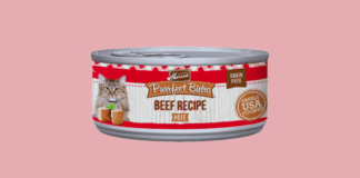 How to Get Free Merrick Purrfect Bistro Cat Food Samples – A Trustworthy Guide for Cat Parents