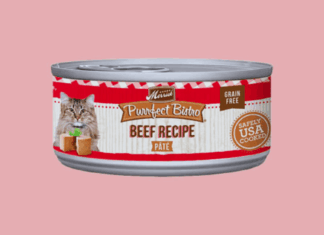 How to Get Free Merrick Purrfect Bistro Cat Food Samples – A Trustworthy Guide for Cat Parents