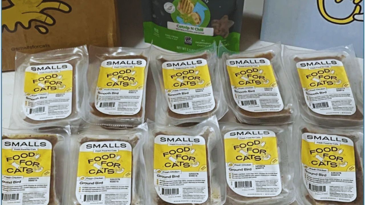 How to Claim Free Smalls Fresh Cat Food Samples: An Honest Guide for Pet Lovers